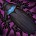 inv_cockroach2_black.jpg