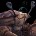 inv_crab2_brown.jpg