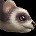 inv_ferret_stripeddark.jpg
