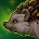 inv_hedgehogmount_green.jpg