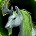inv_horse2green.jpg