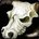 inv_misc_bone_taurenskull_01.jpg