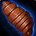 inv_misc_food_vendor_boiledsilkwormpupa.jpg