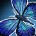 inv_pet_butterfly_blue.jpg
