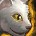 inv_pet_cats_whitekitten.jpg