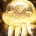 inv_progenitorjellyfishpet_light.jpg