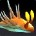 inv_seaslugorangeblue.jpg